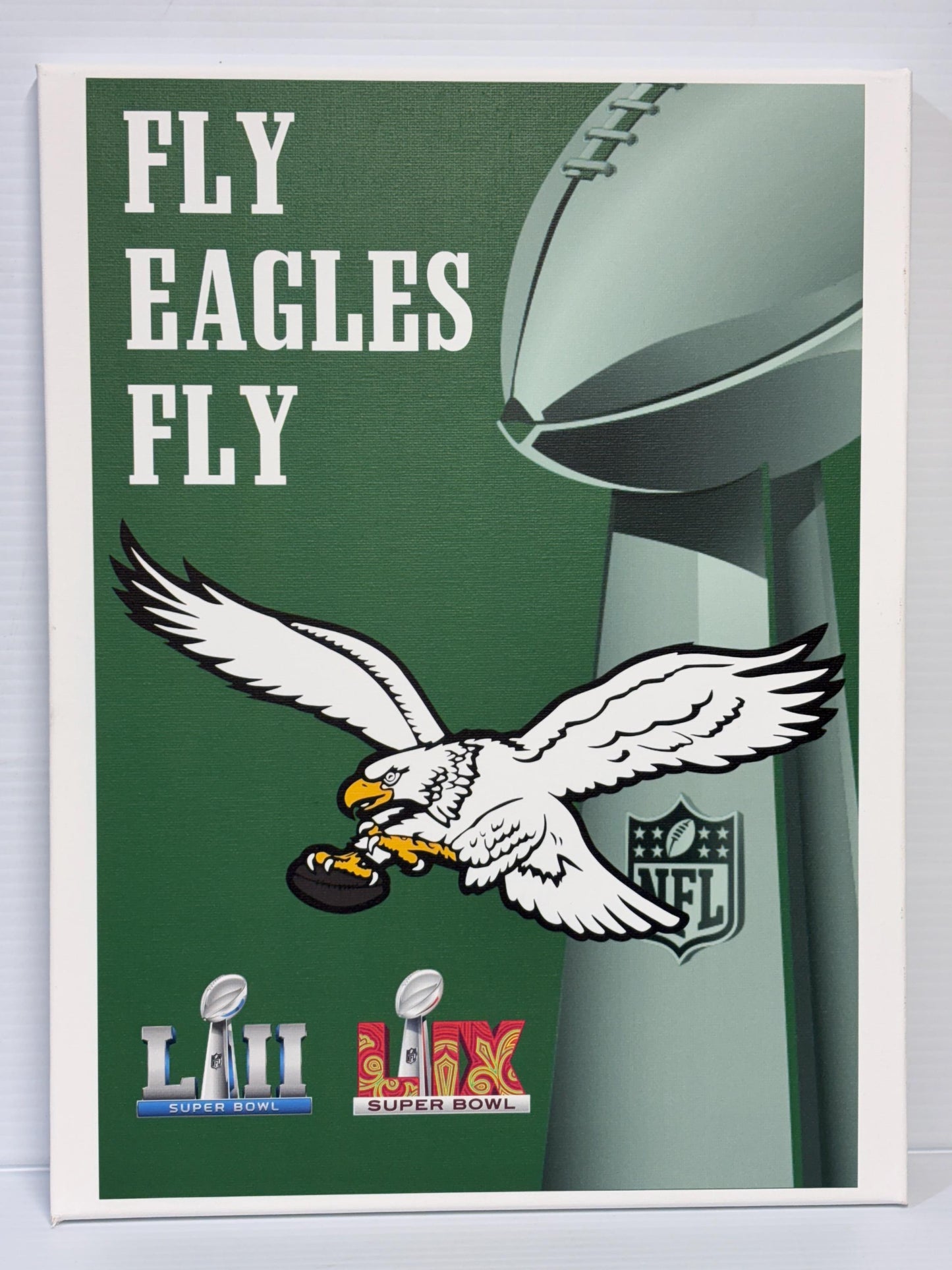 Philadelphia Eagles Super Bowl Canvas: Kelly Green Football Art (12x16)