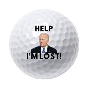 Custom Photo Golf Balls | Funny Golf Gift | Use Your Own Photo | Christmas Present | Retirement or Birthday Present for Golfer | Golf Trip